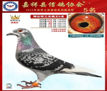 �ر����P(gu��n)����5��