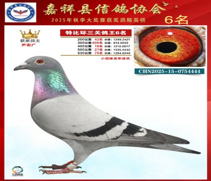 �ر����P(gu��n)����6��