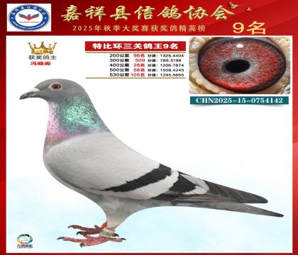 �ر����P(gu��n)����9��