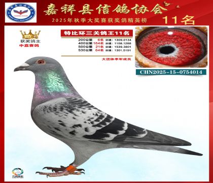 �ر����P(gu��n)����11��