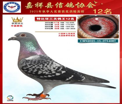 �ر����P(gu��n)����12��