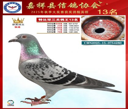 �ر����P(gu��n)����13��