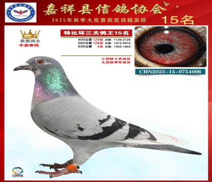 �ر����P(gu��n)����15��