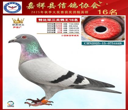 �ر����P(gu��n)����16��