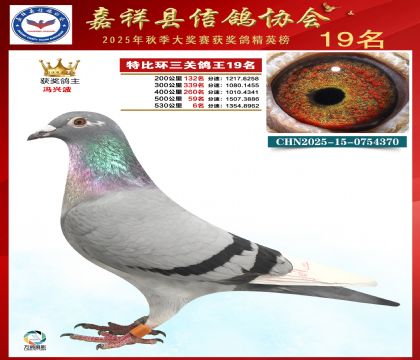 �ر����P(gu��n)����19��