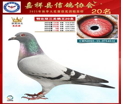 �ر����P(gu��n)����20��