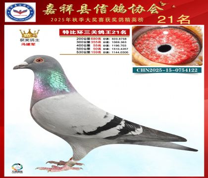 �ر����P(gu��n)����21��