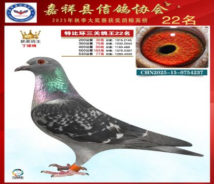 �ر����P(gu��n)����22��