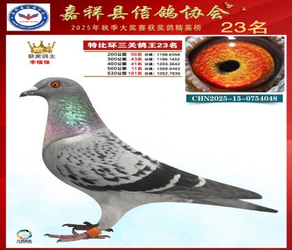 �ر����P(gu��n)����23��