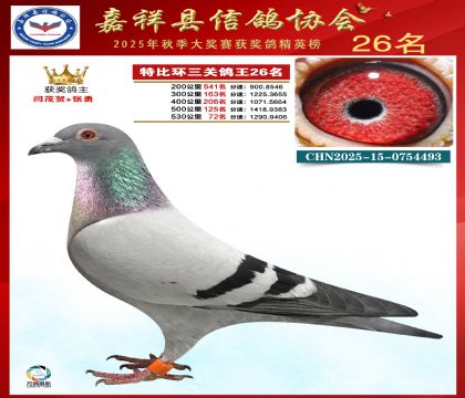 �ر����P(gu��n)����26��