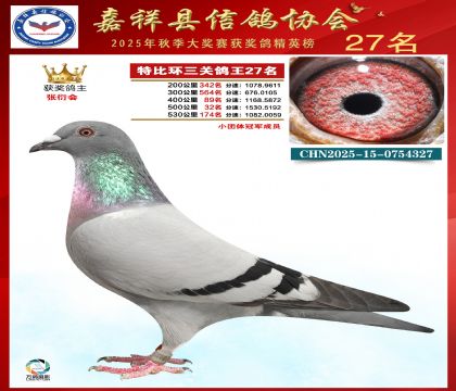 �ر����P(gu��n)����27��