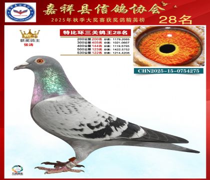 �ر����P(gu��n)����28��