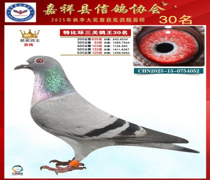 �ر����P(gu��n)����30��