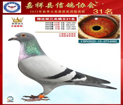 �ر����P(gu��n)����31��