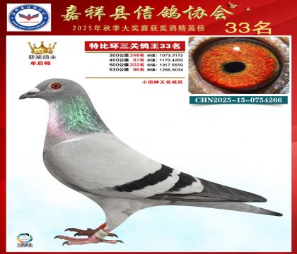 �ر����P(gu��n)����33��