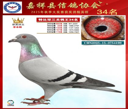 �ر����P(gu��n)����34��