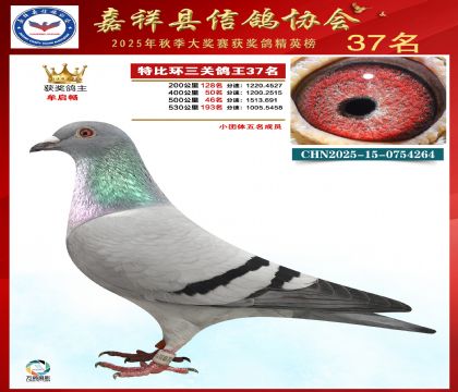 �ر����P(gu��n)����37��