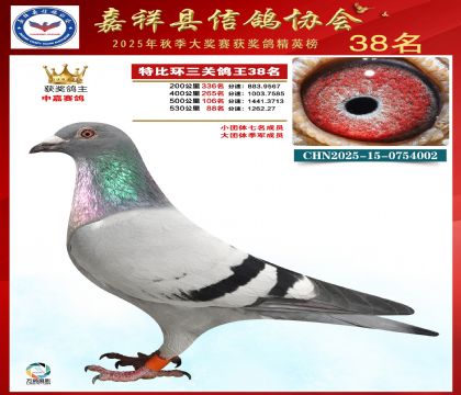 �ر����P(gu��n)����38��