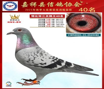 �ر����P(gu��n)����40��