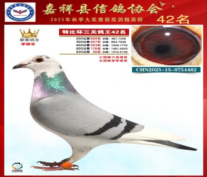 �ر����P(gu��n)����42��