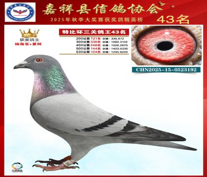 �ر����P(gu��n)����43��