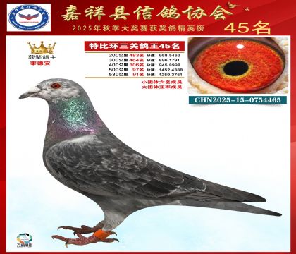 �ر����P(gu��n)����45��