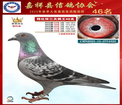 �ر����P(gu��n)����46��