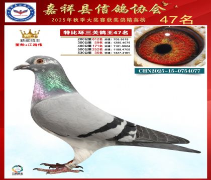 �ر����P(gu��n)����47��