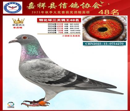 �ر����P(gu��n)����48��