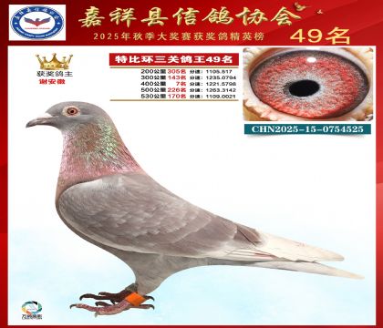 �ر����P(gu��n)����49��