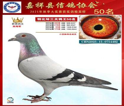 �ر����P(gu��n)����50��