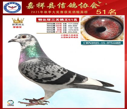 �ر����P(gu��n)����51��