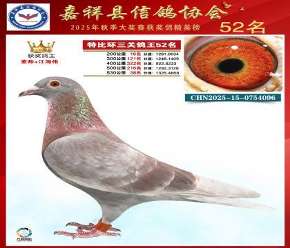 �ر����P(gu��n)����52��