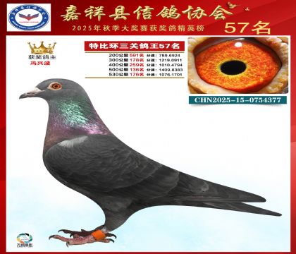 �ر����P(gu��n)����57��