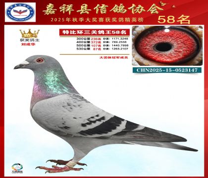 �ر����P(gu��n)����58��