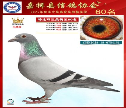 �ر����P(gu��n)����60��