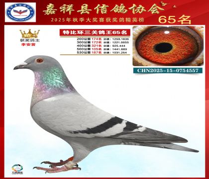 �ر����P(gu��n)����65��