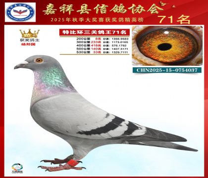 �ر����P(gu��n)����71��