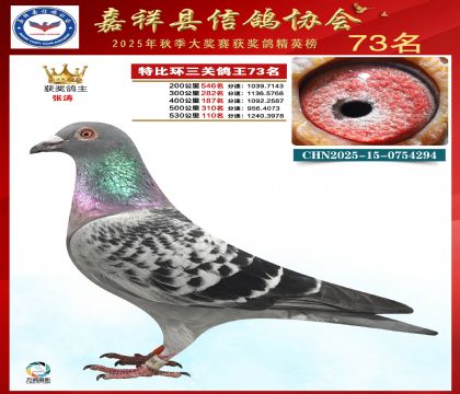 �ر����P(gu��n)����73��