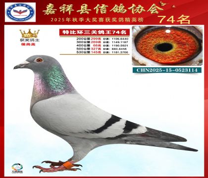 �ر����P(gu��n)����74��