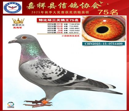 �ر����P(gu��n)����75��