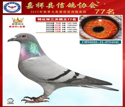 �ر����P(gu��n)����77��