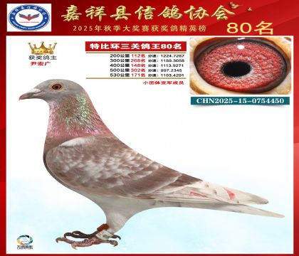 �ر����P(gu��n)����80��