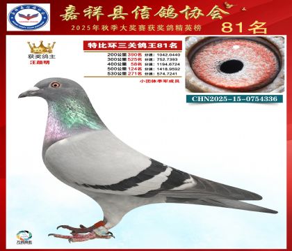 �ر����P(gu��n)����81��