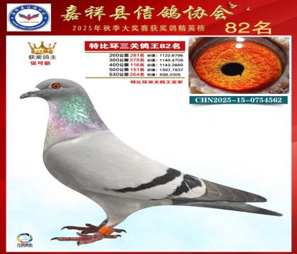 �ر����P(gu��n)����82��