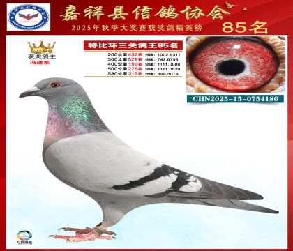 �ر����P(gu��n)����85��