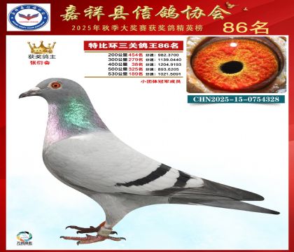 �ر����P(gu��n)����86��