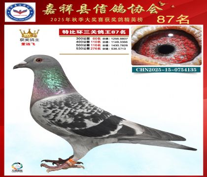 �ر����P(gu��n)����87��