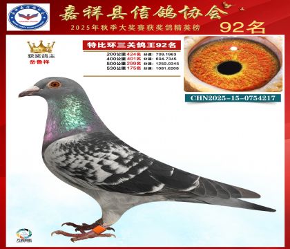 �ر����P(gu��n)����92��