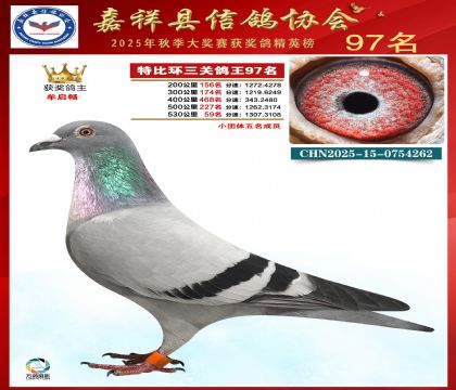 �ر����P(gu��n)����97��